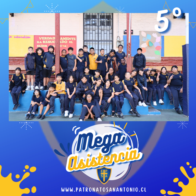 mega5