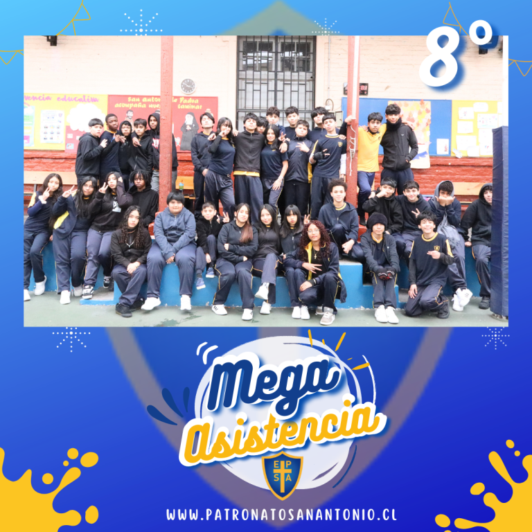 mega8